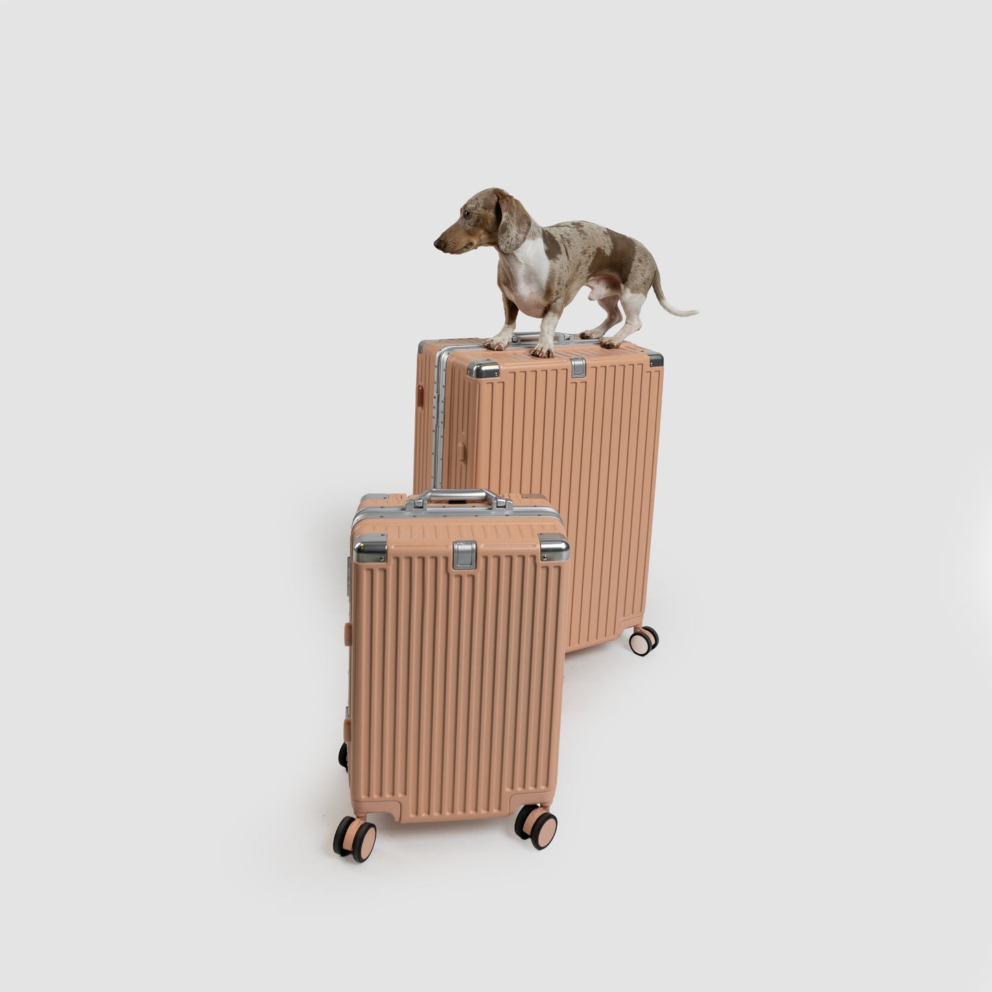 Trolley in Handgepäckgröße